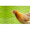 👉 Malla gallinero 1,65 x 30mts
