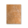 👉 Ceramica Gran Breta Ocre 20 x 30