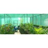 👉Malla sombra verde oscuro 1 x 1,80mts. Trical