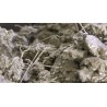 👉Fibra para concreto Dramix 3D 80/6BG
