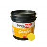 ✅ Pintura agua amarillo primaveral 4 galones