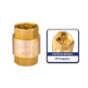 👉 Válvula check 3/4" vertical. Belt-g